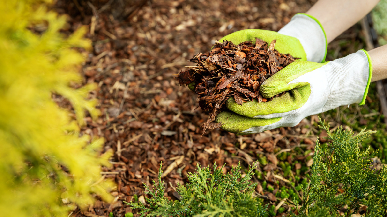 Commercial Mulch Installation - S&S Landscaping