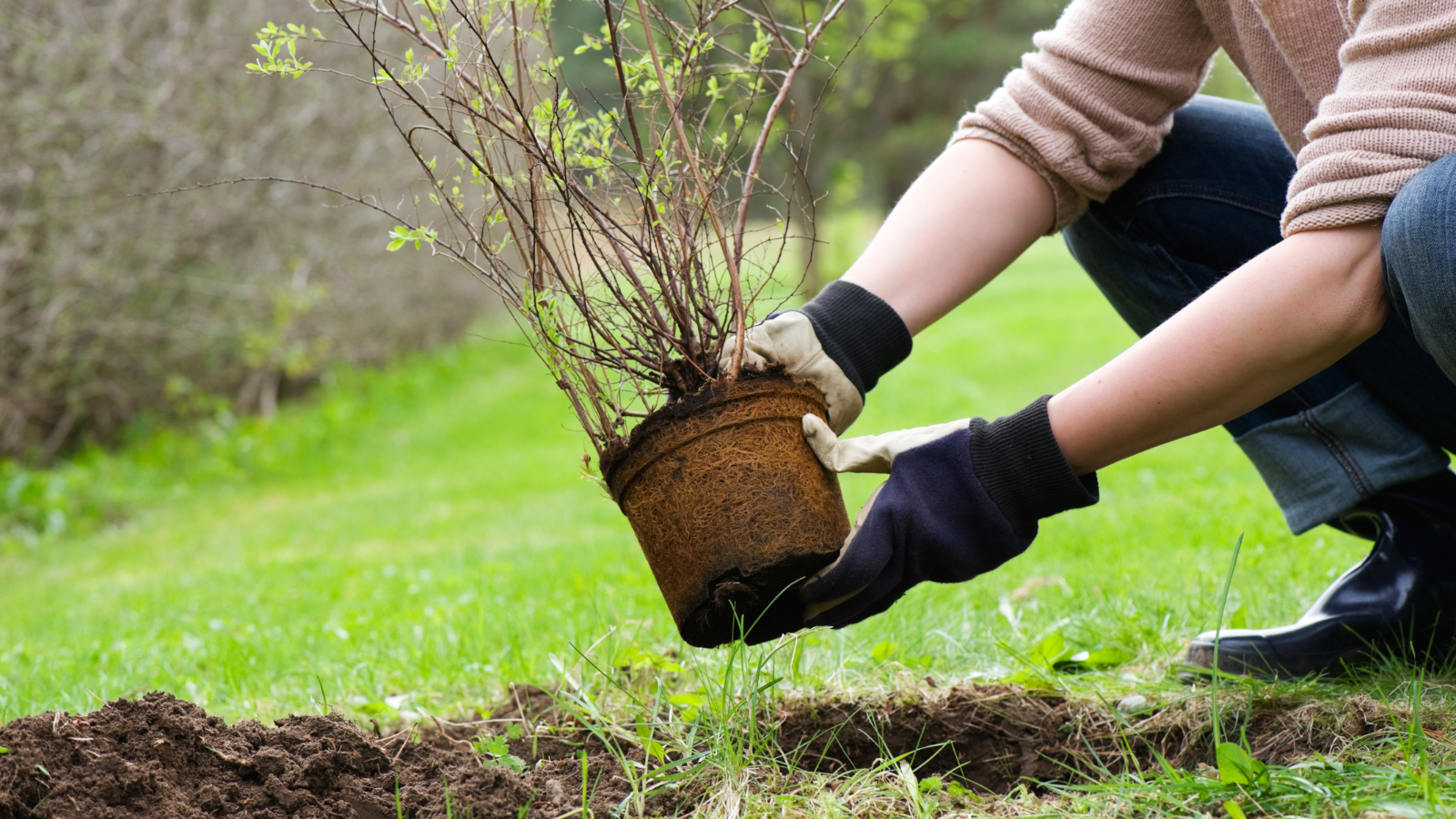 planting4ss